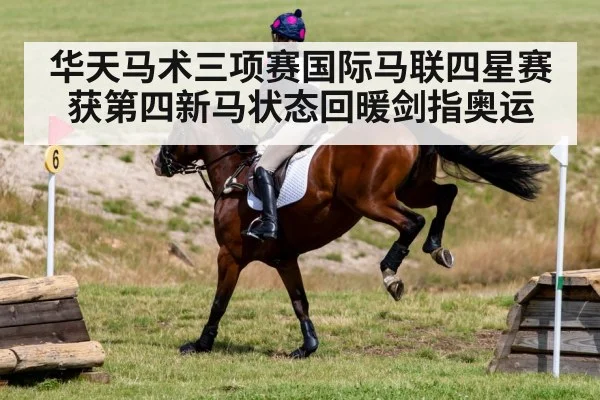 horse jumping cross country