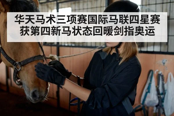 rider grooming horse