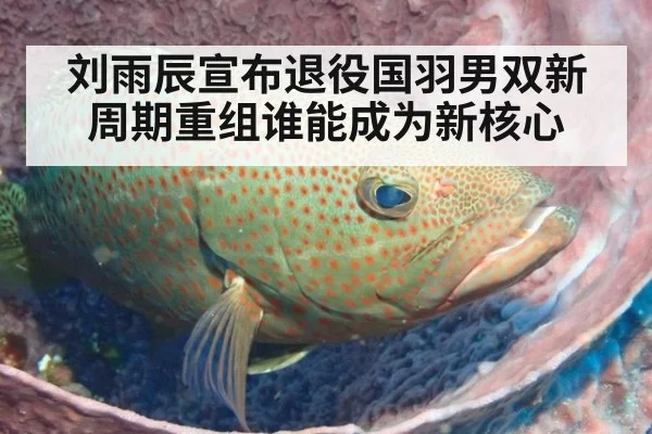 刘雨辰宣布退役国羽男双新周期重组谁能成为新核心